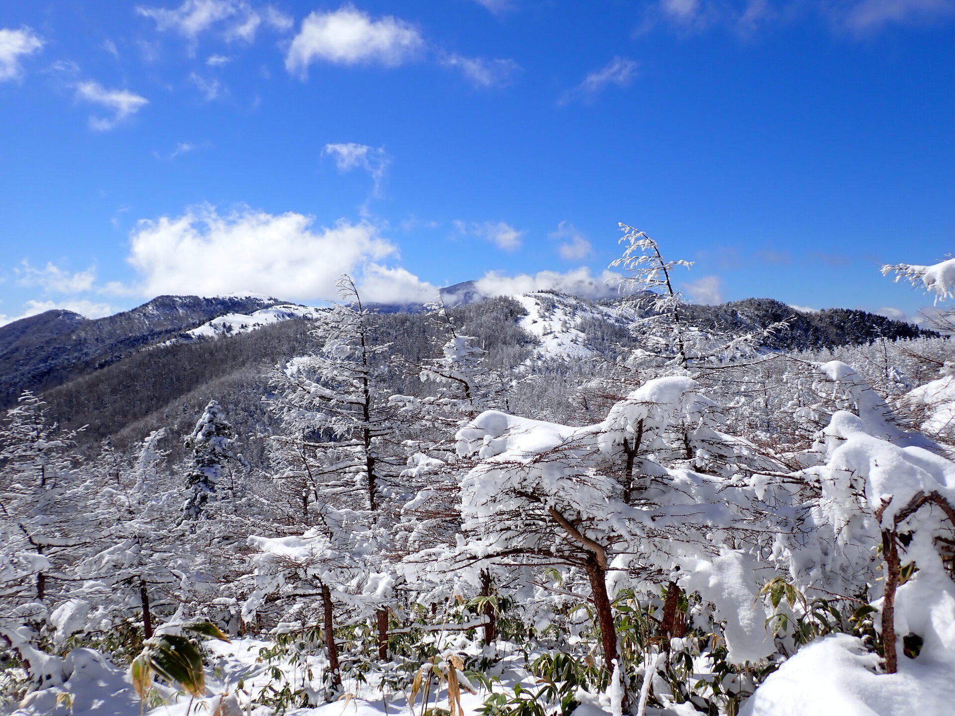 横川山･南沢山～雪景色を楽しむ、ふるさと村自然園から～ さぶの気ままな山旅